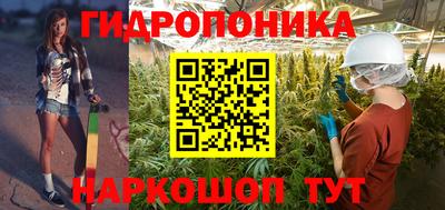 сатива Брянск
