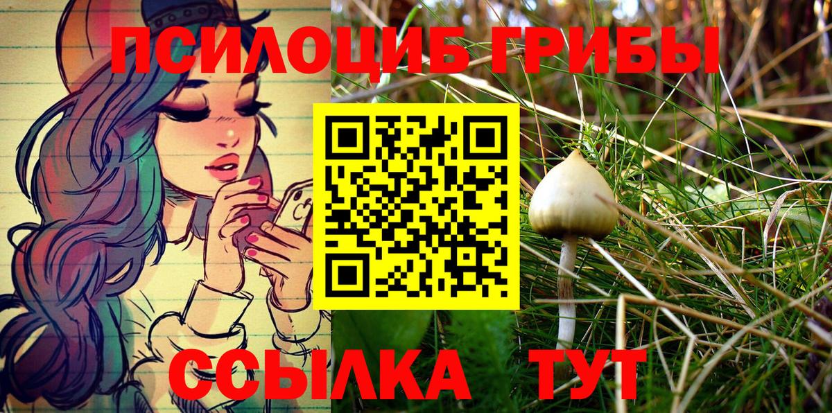 Псилоцибиновые грибы ЛСД  Вход с VPN  Елец 